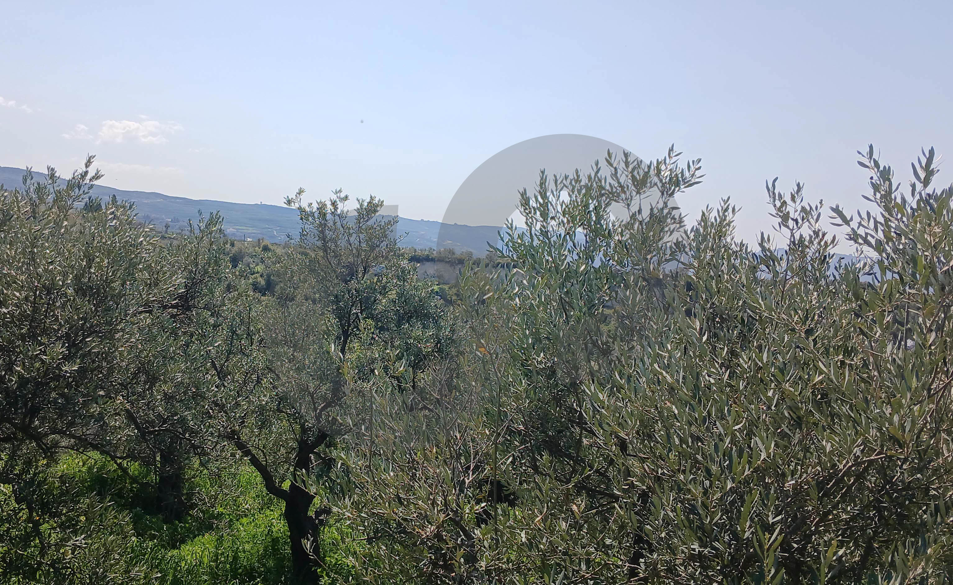 serene, picturesque setting, zakroun, koura — الصورة 3