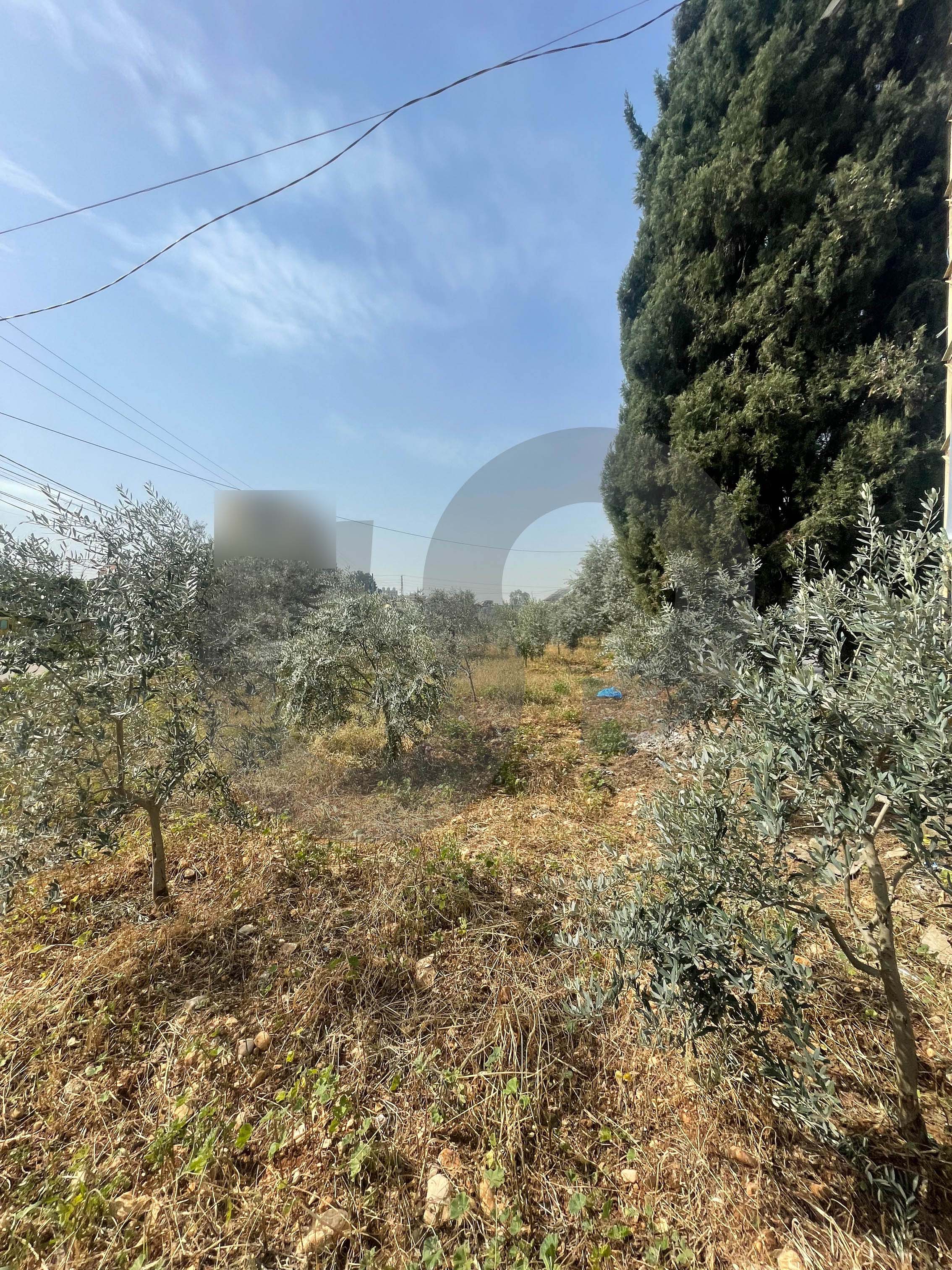 great deal, prime location, zgharta, Rashiine — الصورة 3