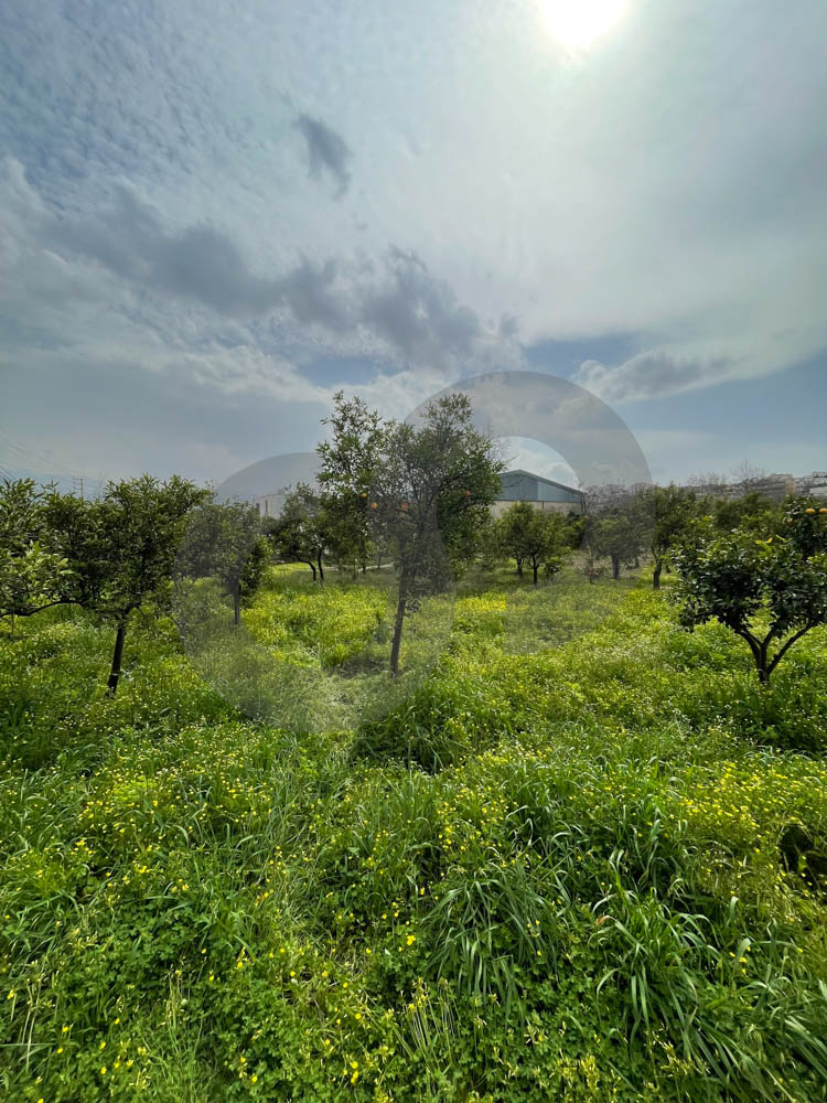 Main road frontage, Zoning 5% , Merdashiyeh-zgharta — الصورة 3