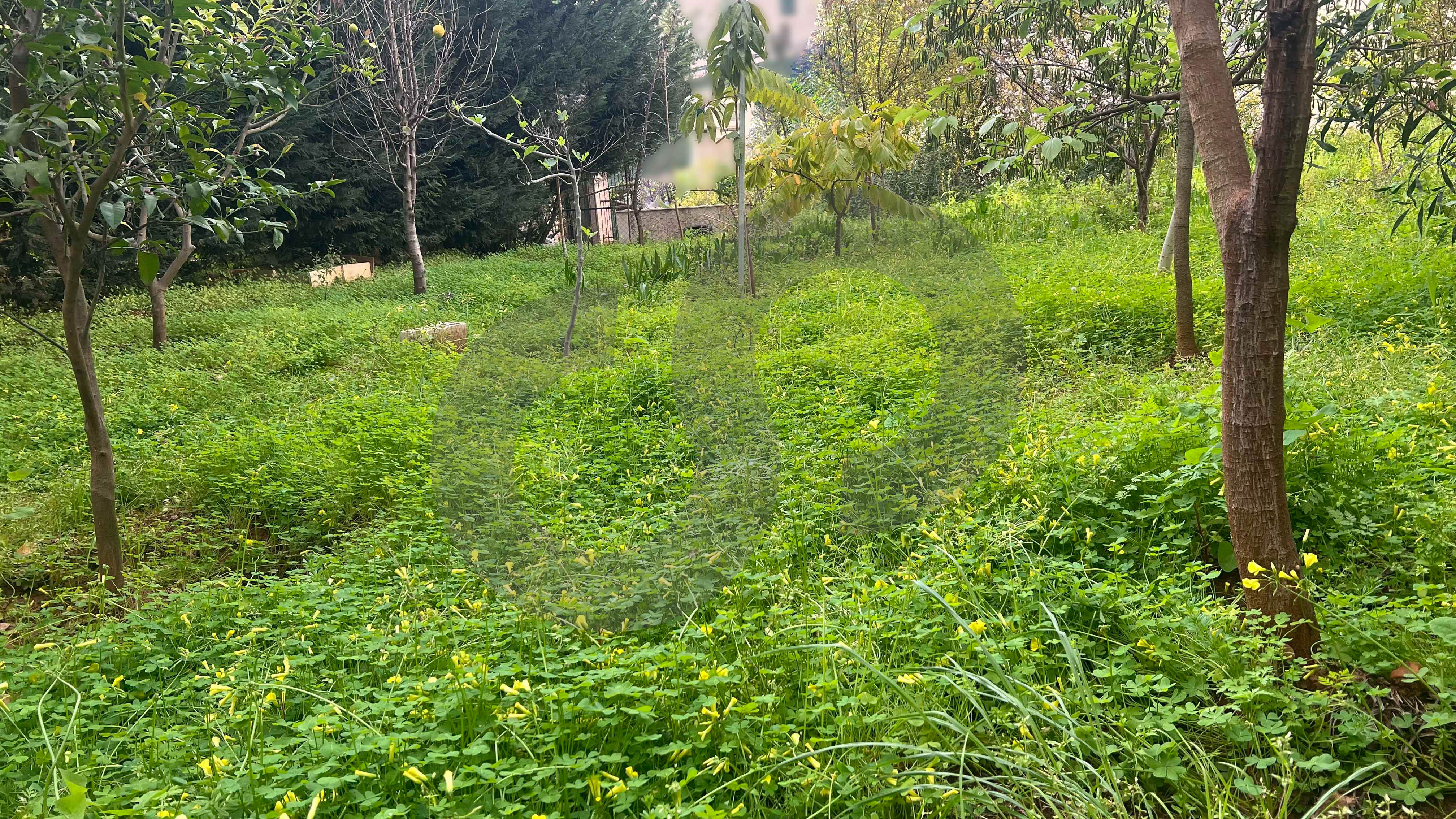 Prime Location, Calm Area, close road, Awkar — الصورة 2