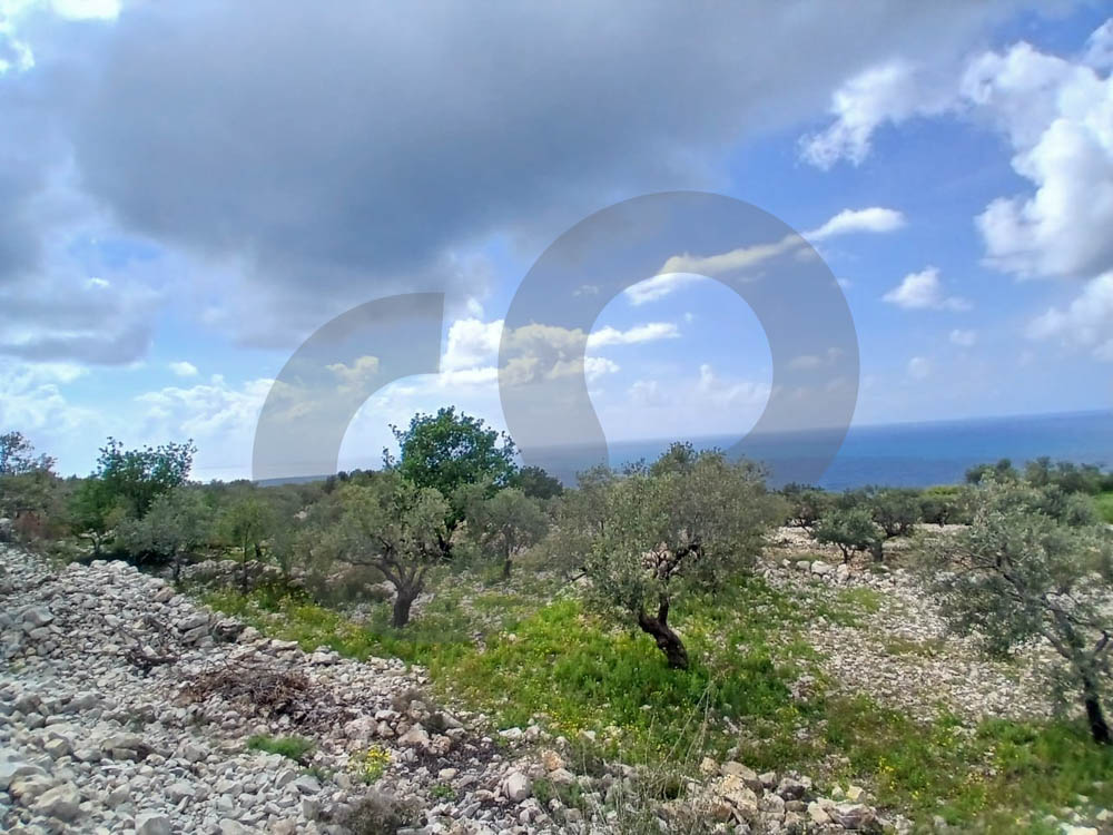 Open View,Landscaped Plot, Jbeil - Monsef — الصورة 3