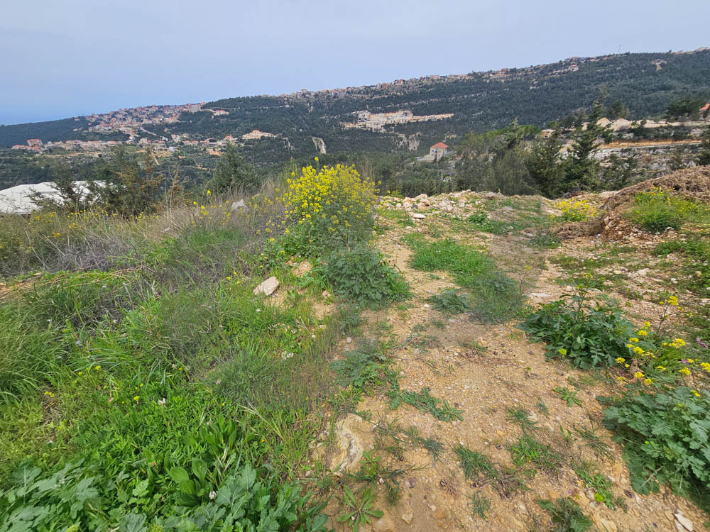 Mazraat El Toufah -Zgharta — الصورة 3