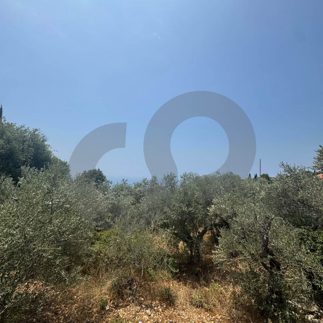 suitable for standalone house, great view,Monsef — الصورة 3