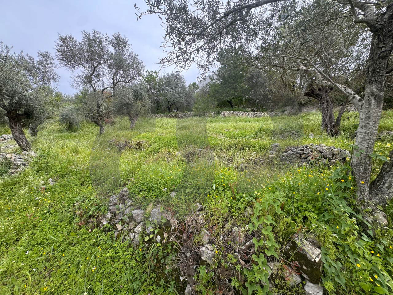 panoramic mountain view, Chamat, Jbeil — الصورة 3