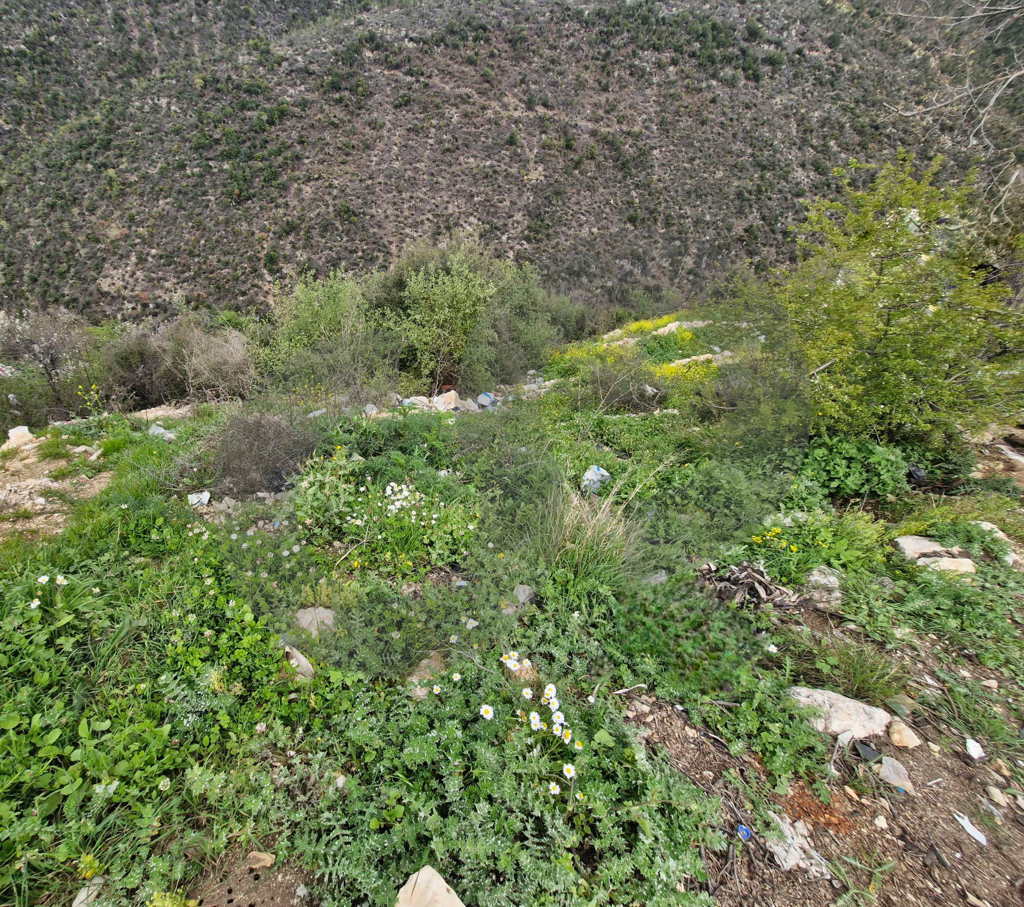 Mountain View, 200$/SQM, Ras Osta — الصورة 3