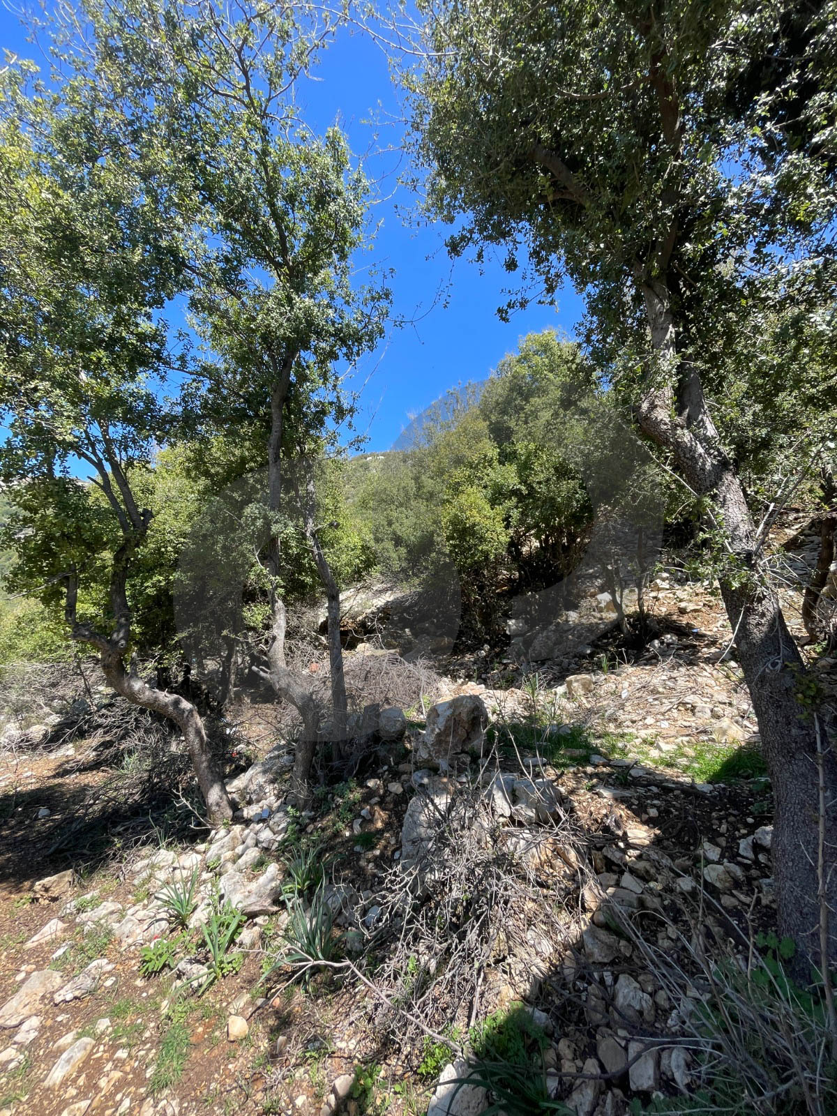 sea, mountain view, directly on the road, Ehmej — الصورة 3