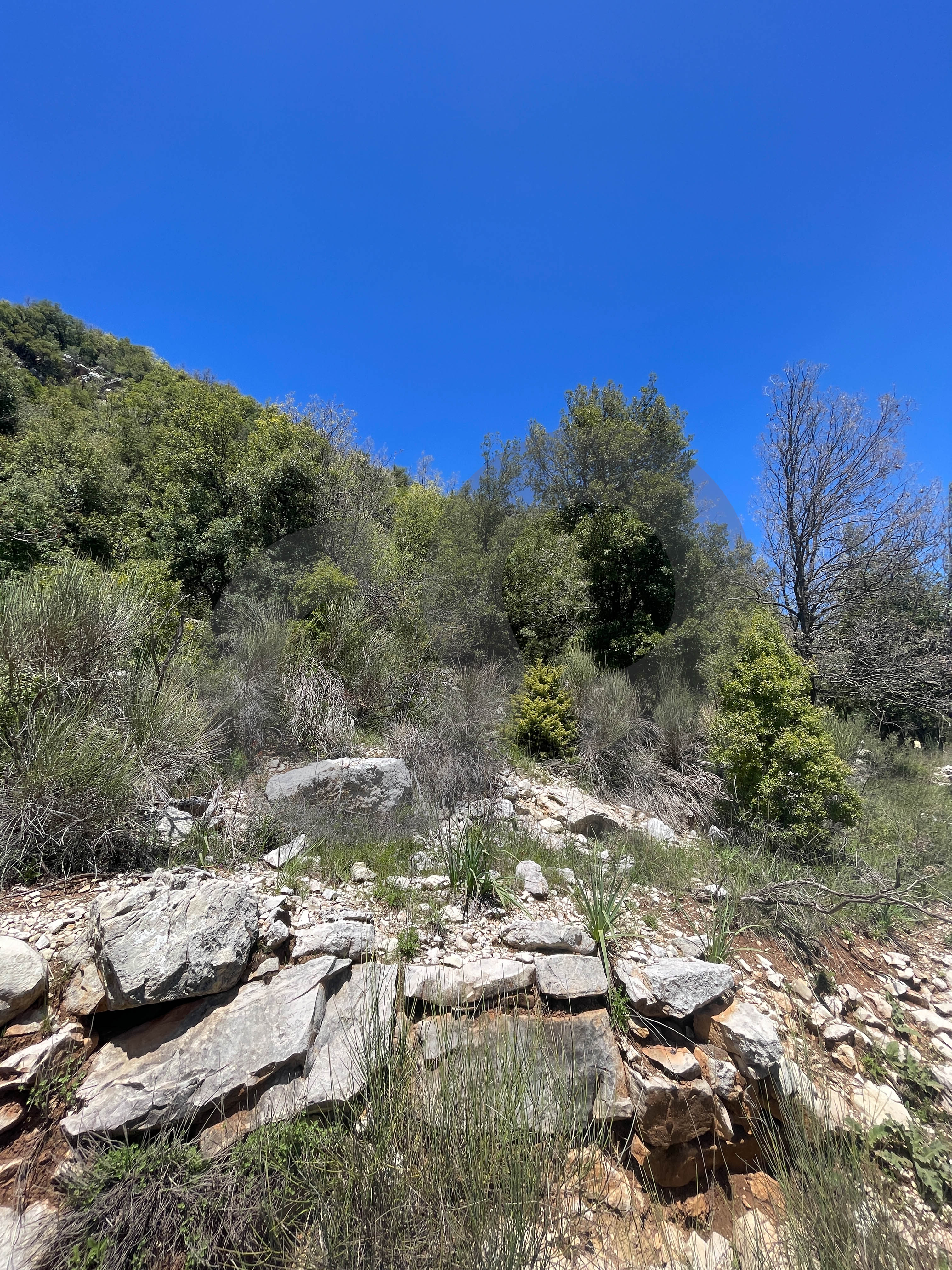 mountain, sea view, near Highway, Ehmej, Jbeil — الصورة 3