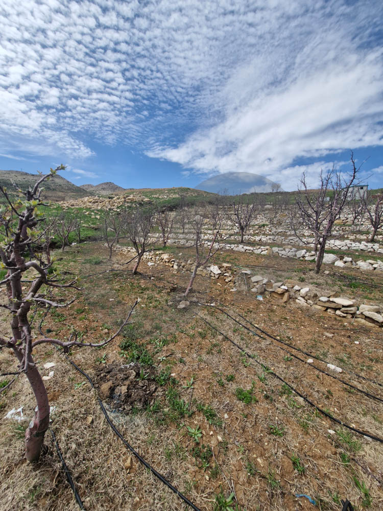 Beautiful Open Mountain View,Aaqoura — photo 3