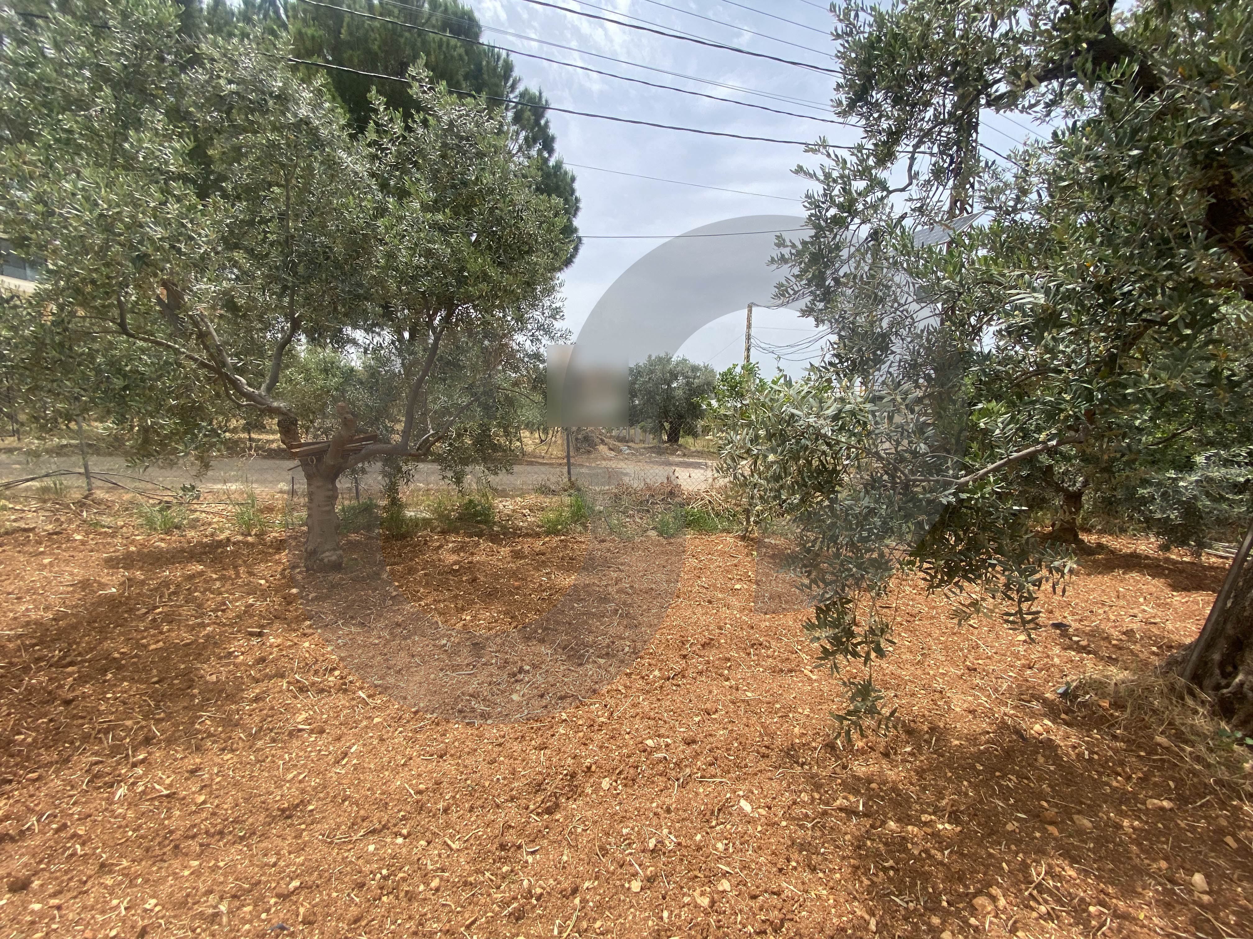 Mountain view, prime area, kferyachit-Zgharta — الصورة 3