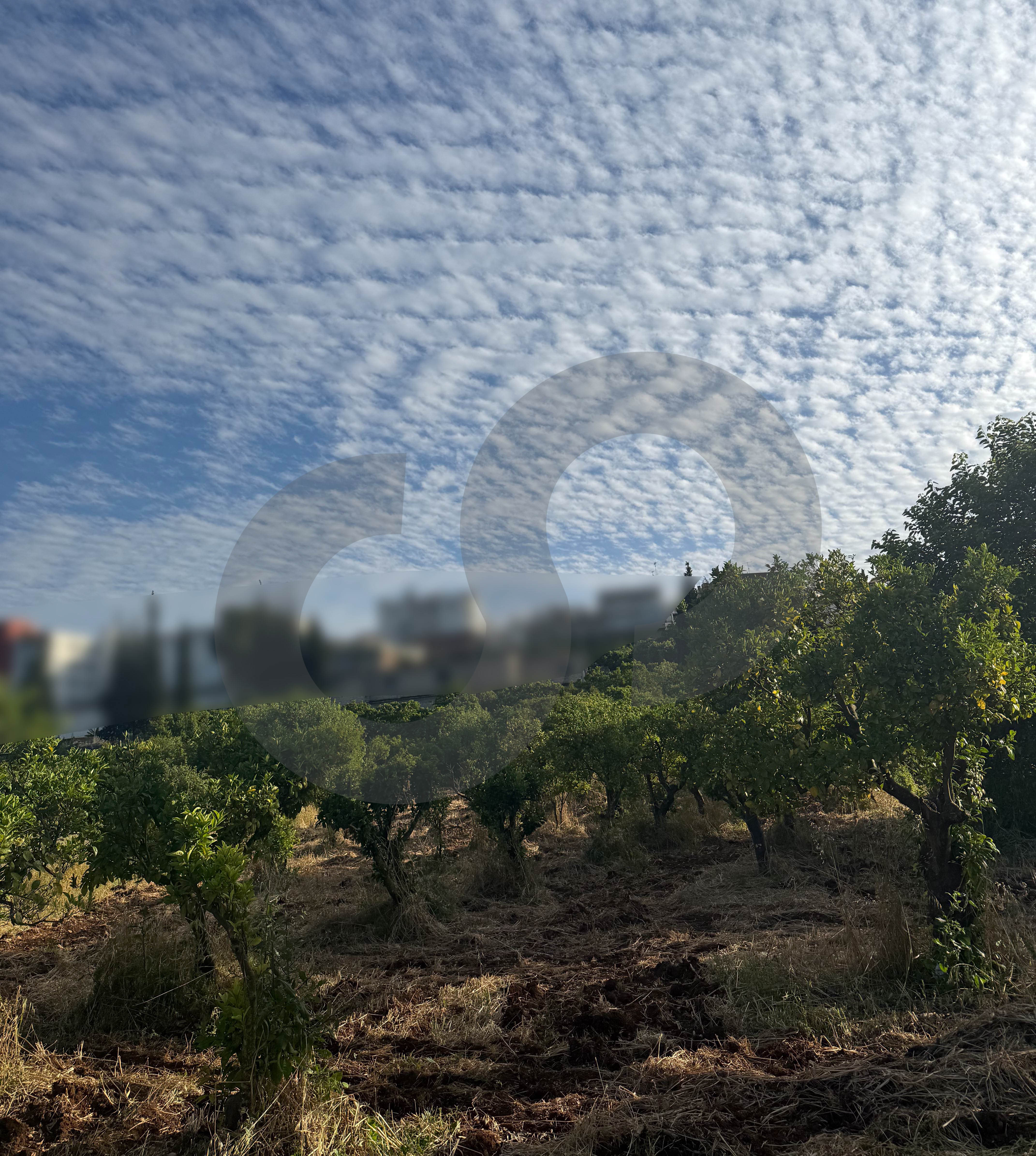 negotiable, panoramic view, zgharta — photo 3