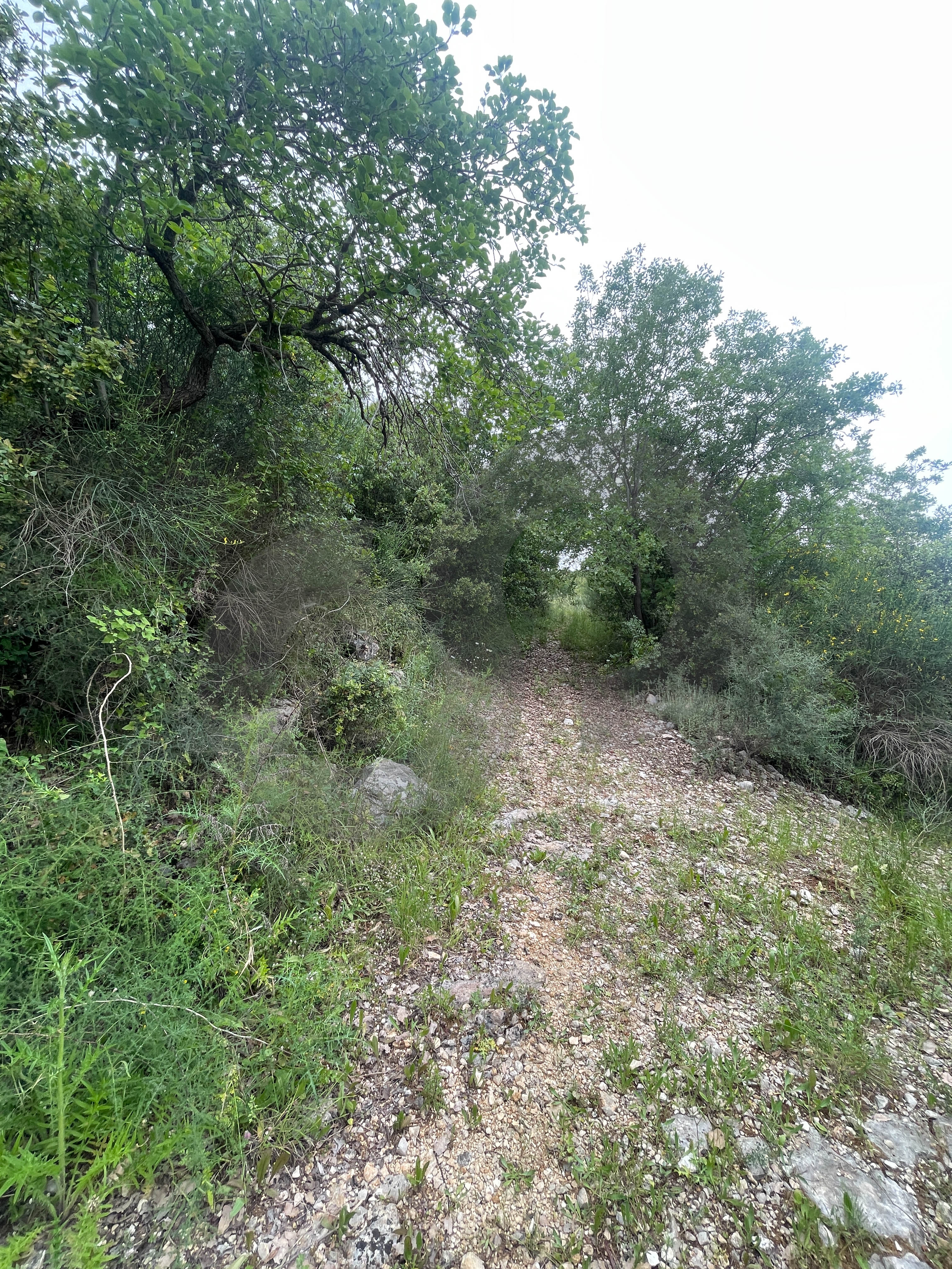 open view, great deal, jbeil, Abaydat — photo 3