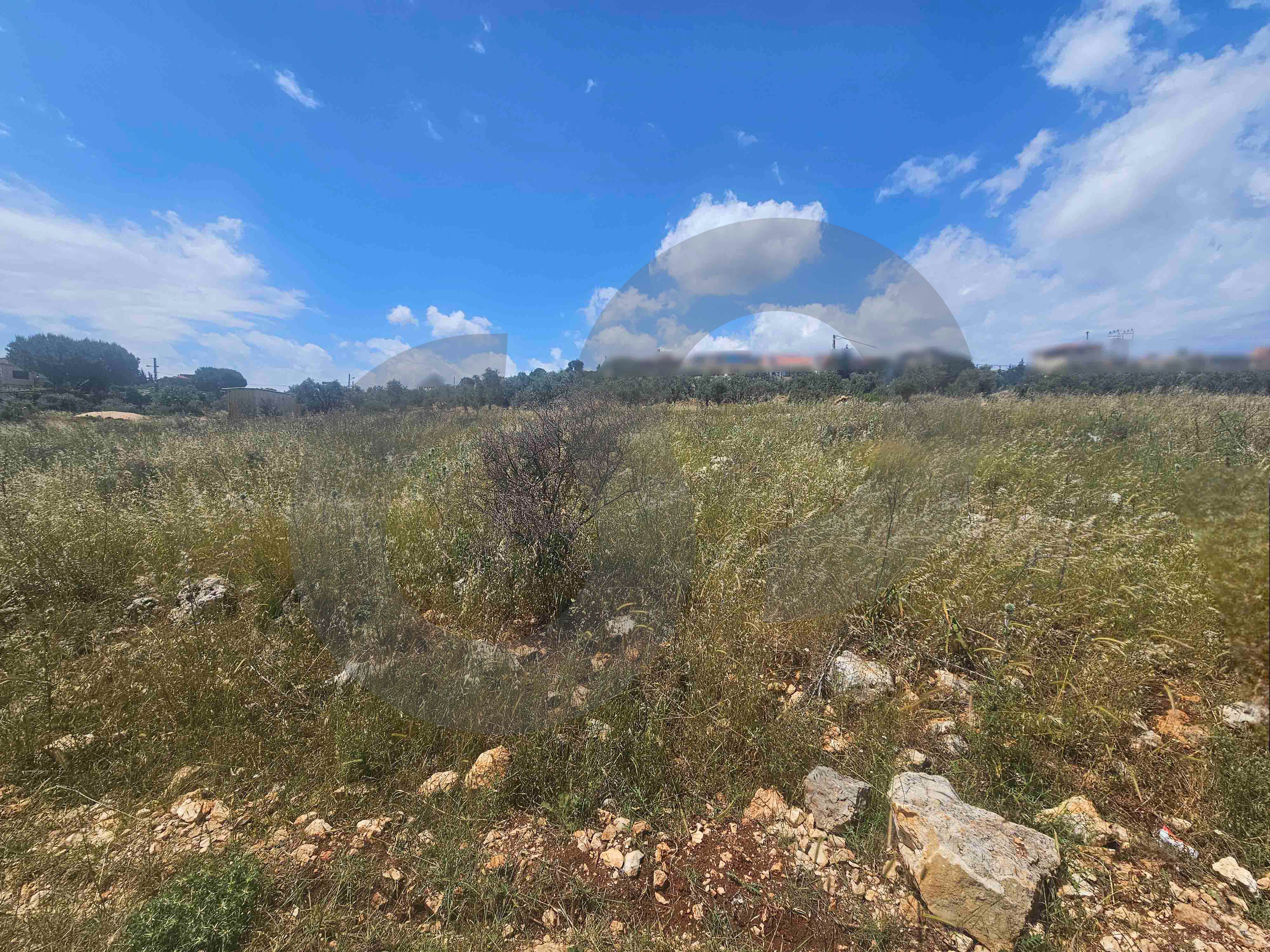 Calm Neighborhood, negotiable, koura, nakhleh — الصورة 3