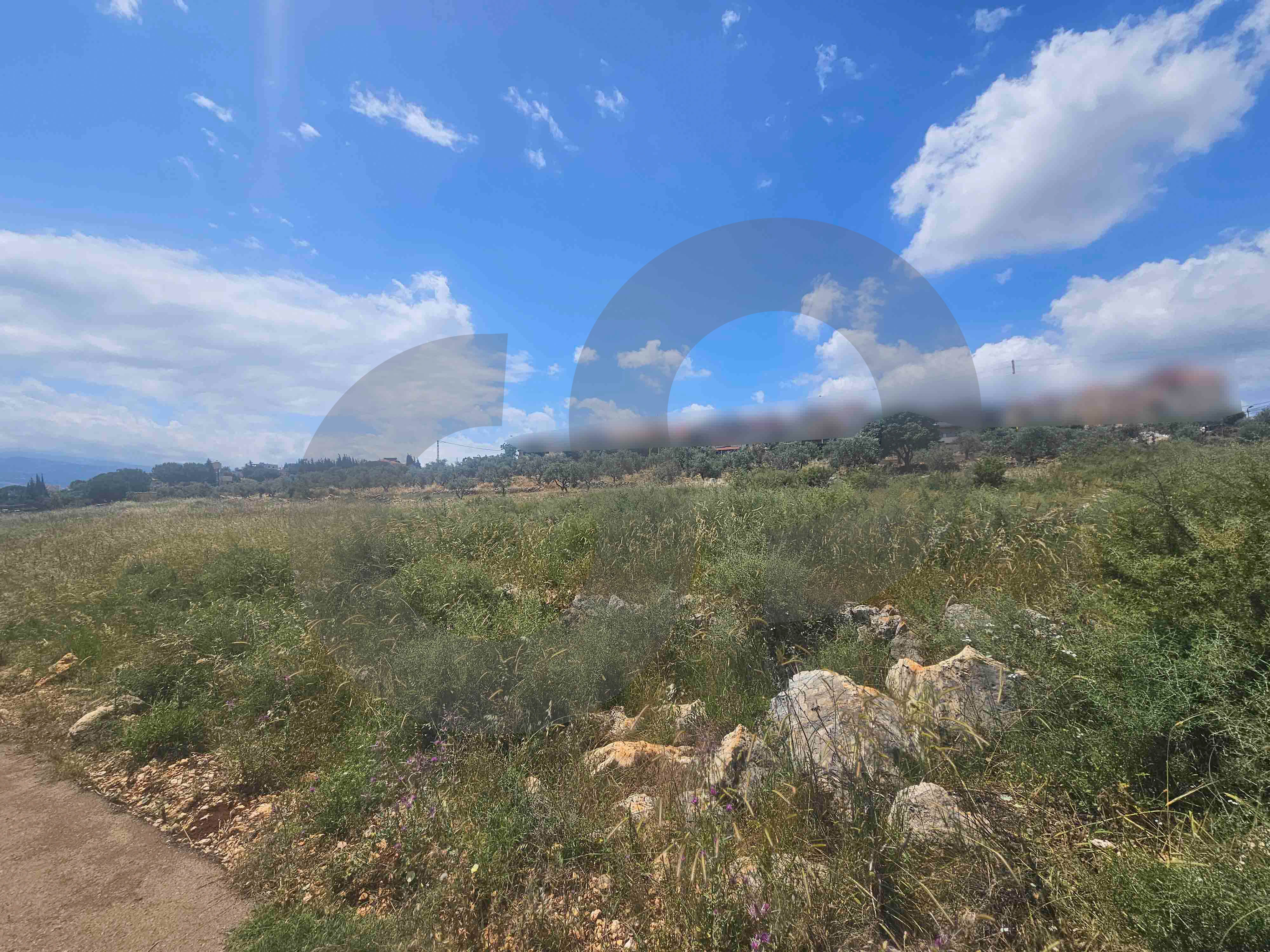 Investment opportunity , great deal, koura, nakhleh — الصورة 3