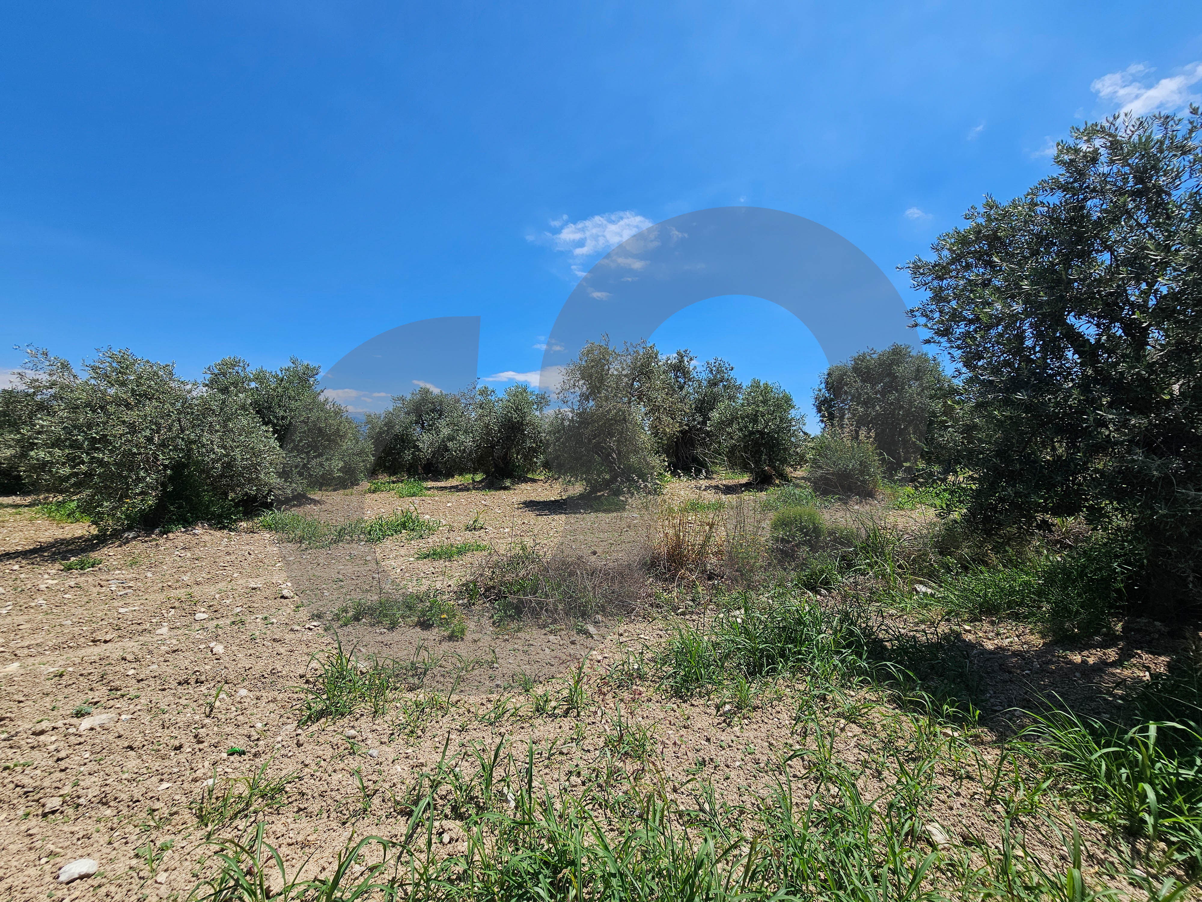 Investment opportunity, negotiable, near highway, zgharta — photo 3
