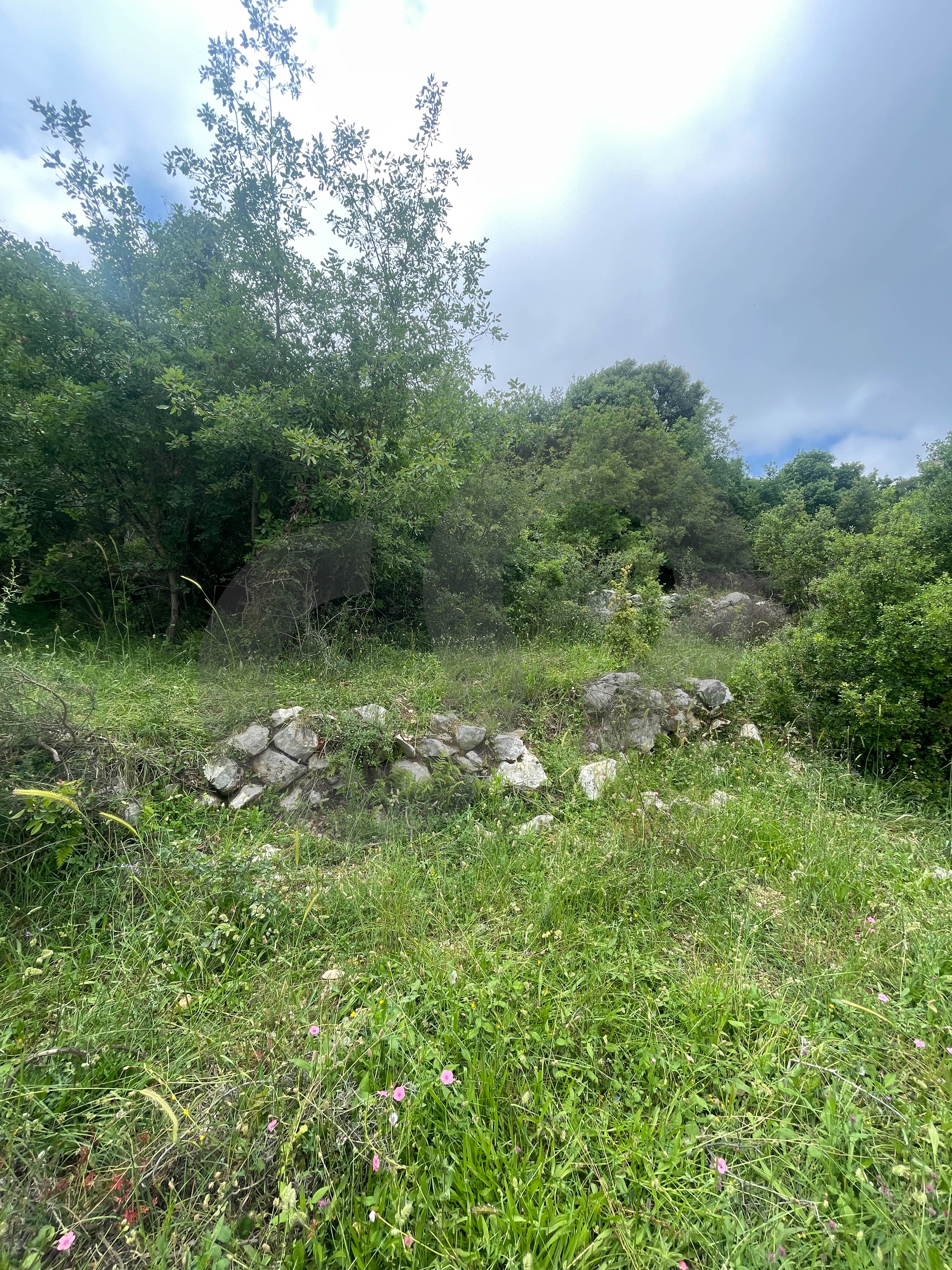 open view, peaceful area, spacious, Breij, Jbeil — الصورة 3