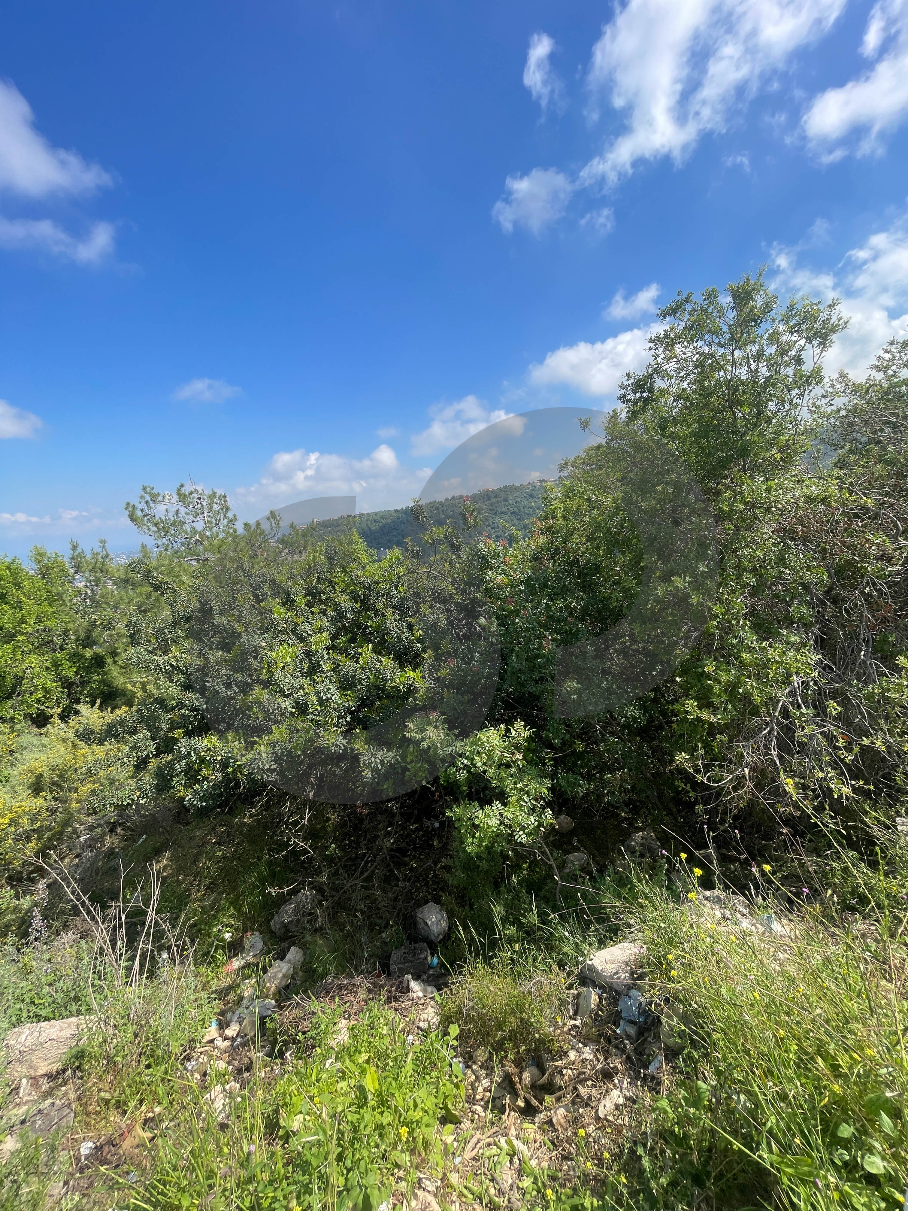 prime location, full sea view, jbeil, halat — الصورة 3