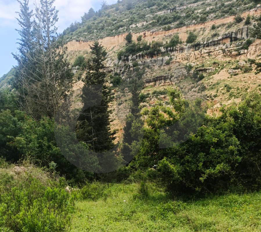 industrial land, great deal, Maaysrah, Keserouan — الصورة 2