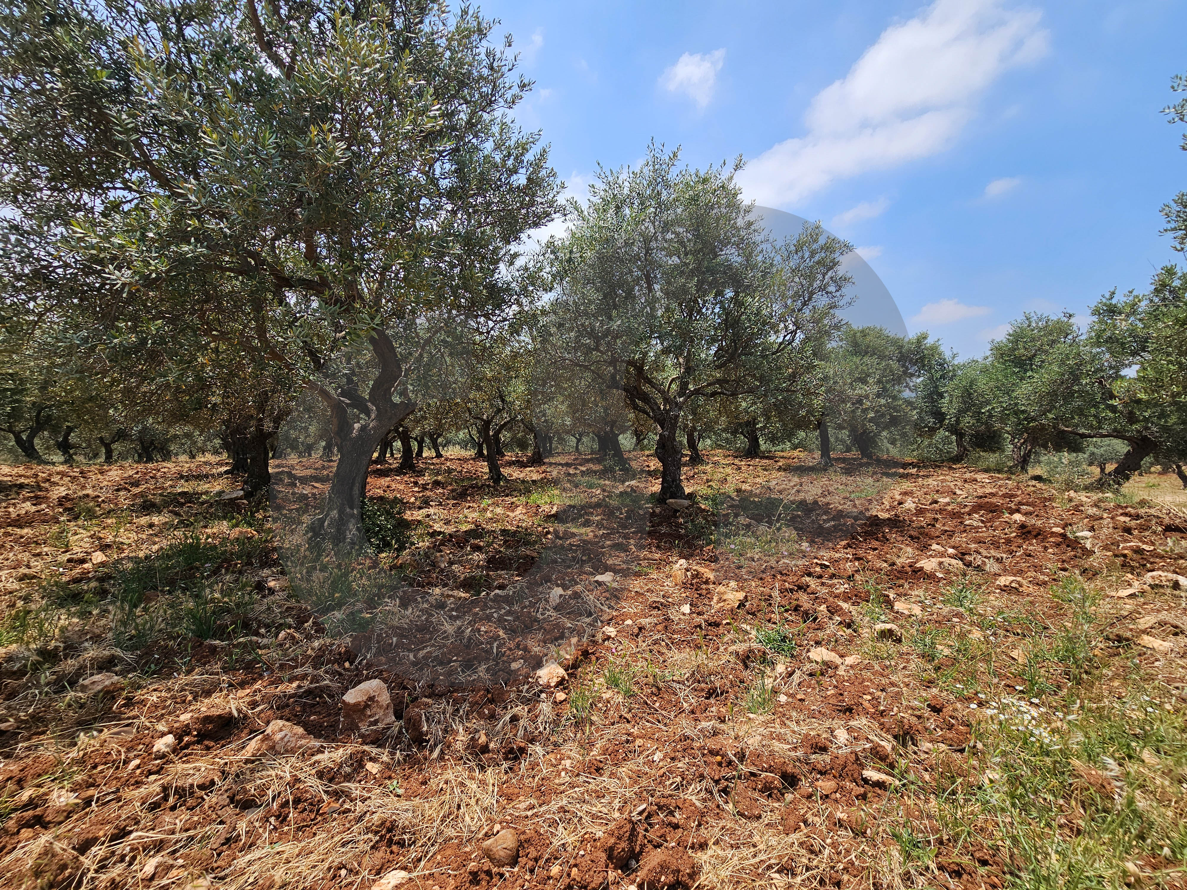 Flat land, great deal, koura, bziza — الصورة 3