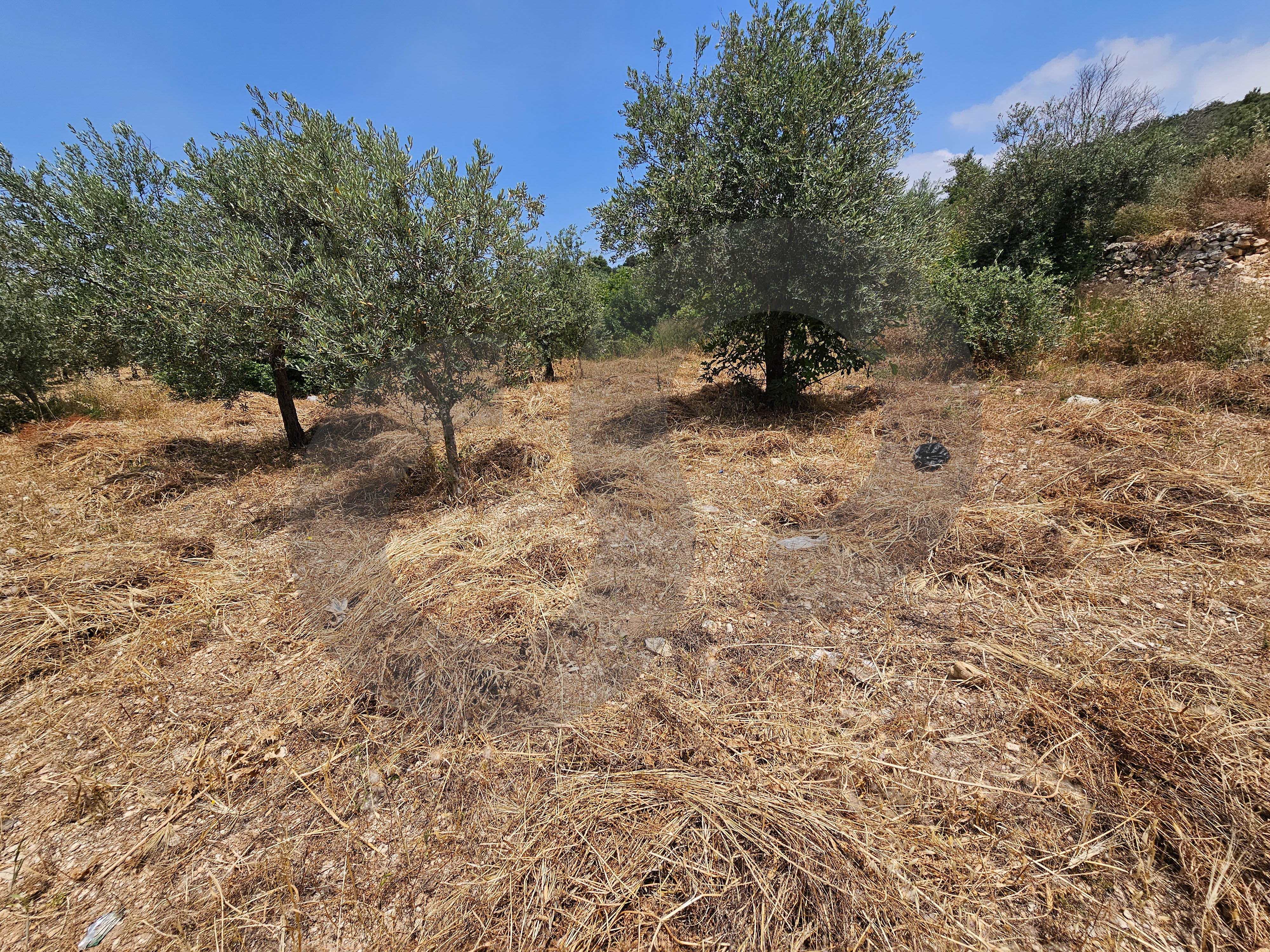 Flat land, great deal, koura, Bhabouch — photo 3