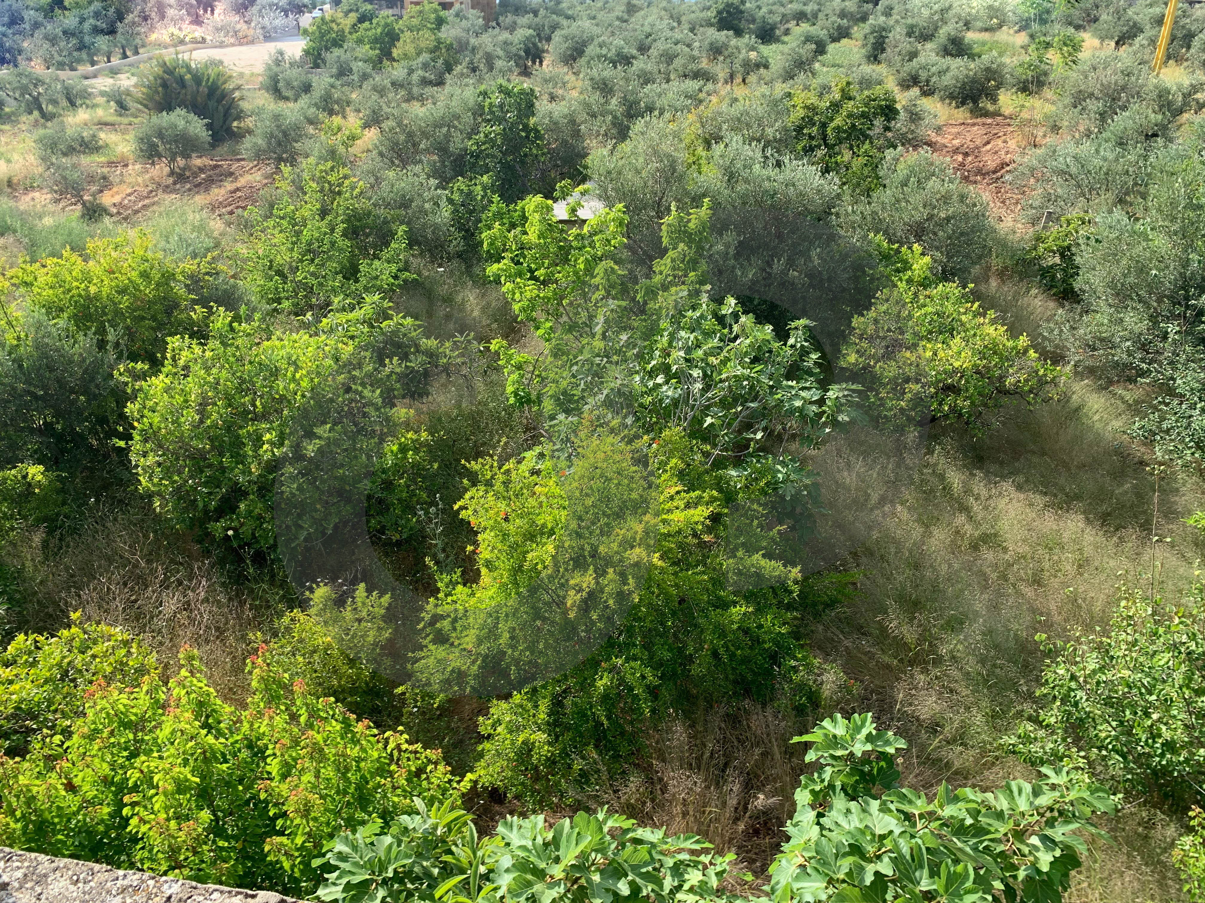 Great deal, prime location, Open view, koura, kousba — الصورة 3
