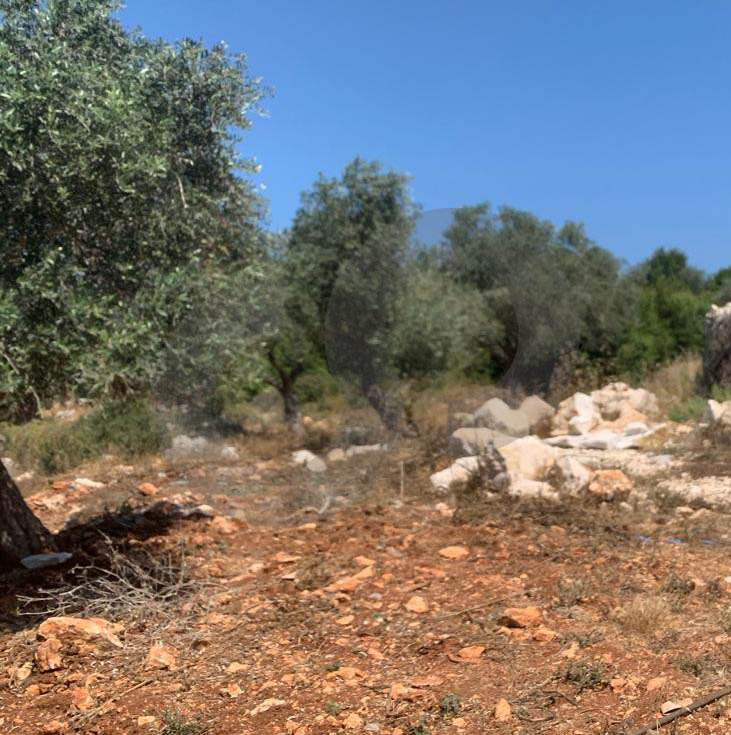 amazing Deal, great Investment , Afsdiq, Koura — photo 3