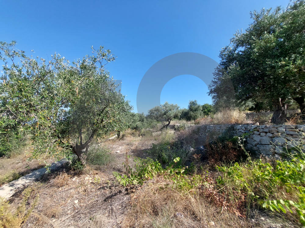 GREAT LAND FOR SALE, PEACEFUL AREA, Cheikhane-JBEIL — الصورة 2