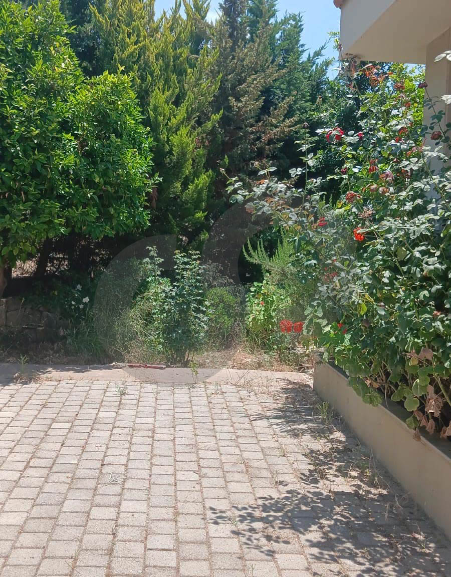 Sea View, Terrace, great deal, Koura, Anfeh — الصورة 3