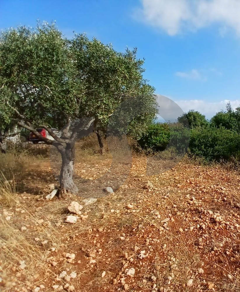 LAND FOR SALE, GREAT DEAL, DEDDEH-KOURA — الصورة 2