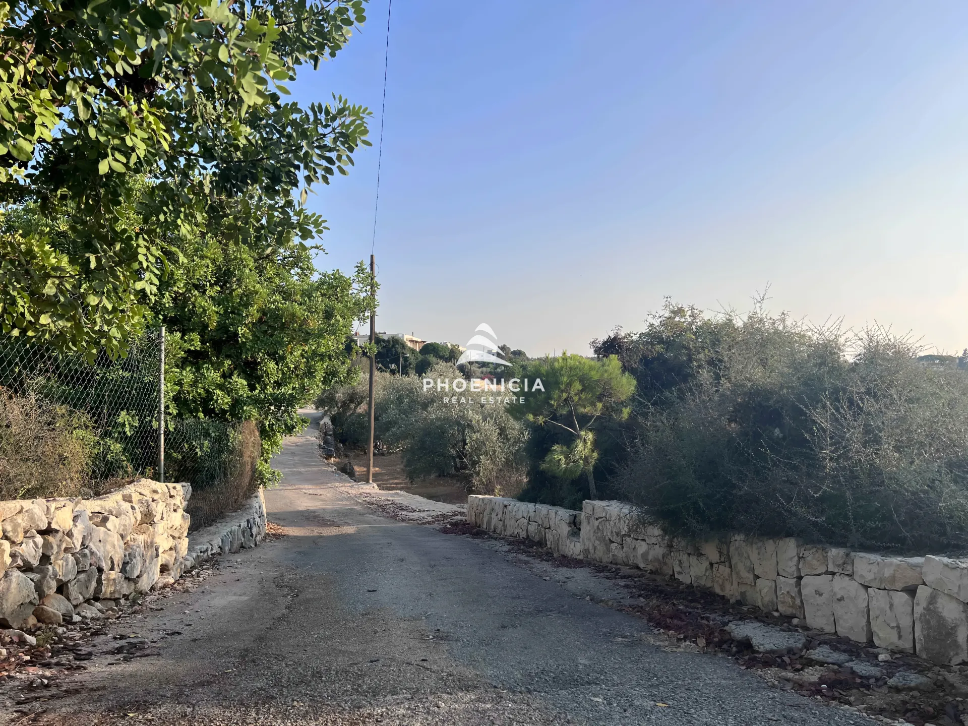 Land for Sale in Chikhane — الصورة 5