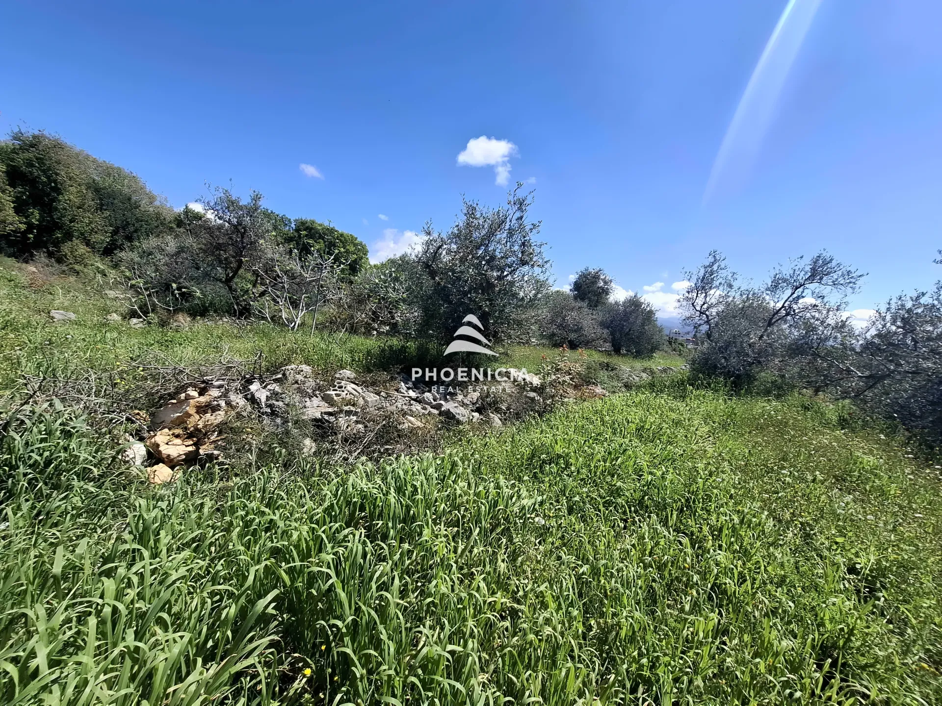 Land for Sale in Monsef — الصورة 5