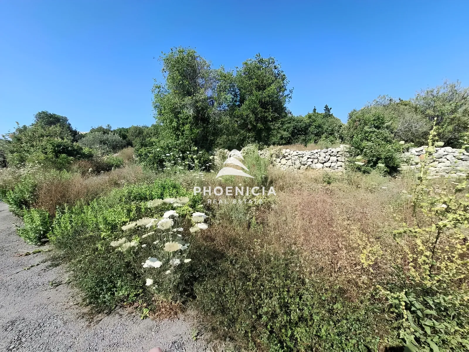 Residential Land for sale in Monsef, Jbeil, Lebanon — الصورة 5