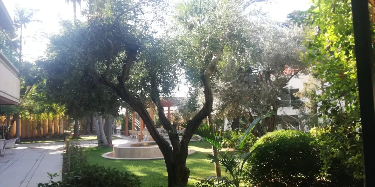 Duplex for Rent in Rabieh, Lebanon — الصورة 9