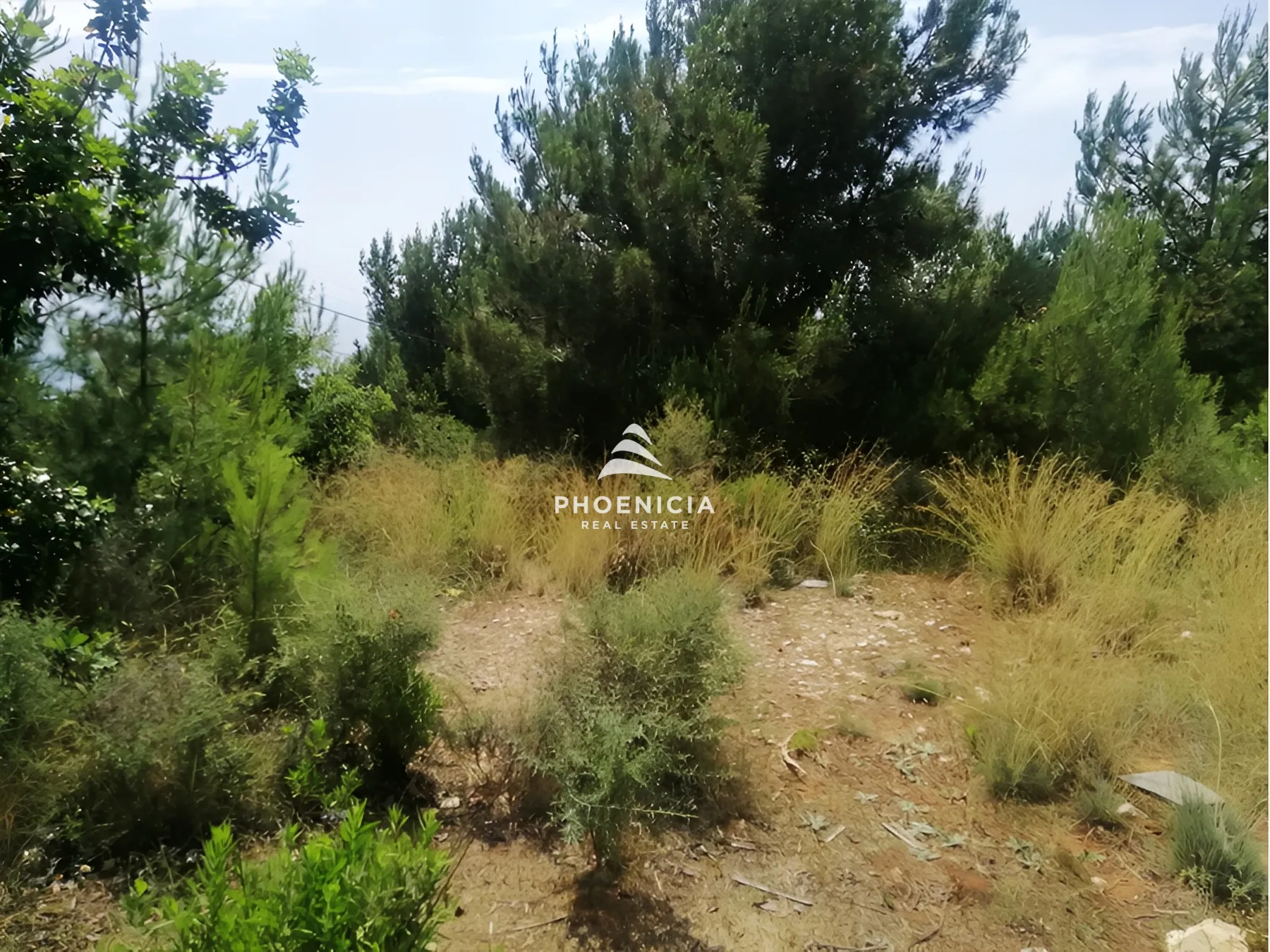 Land for Sale in Blat — الصورة 4
