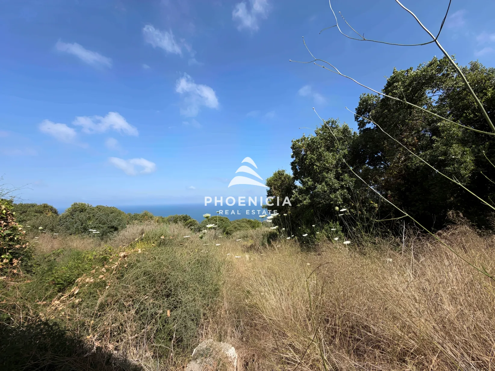 Residential Land for sale in Tehoum, Lebanon — الصورة 4