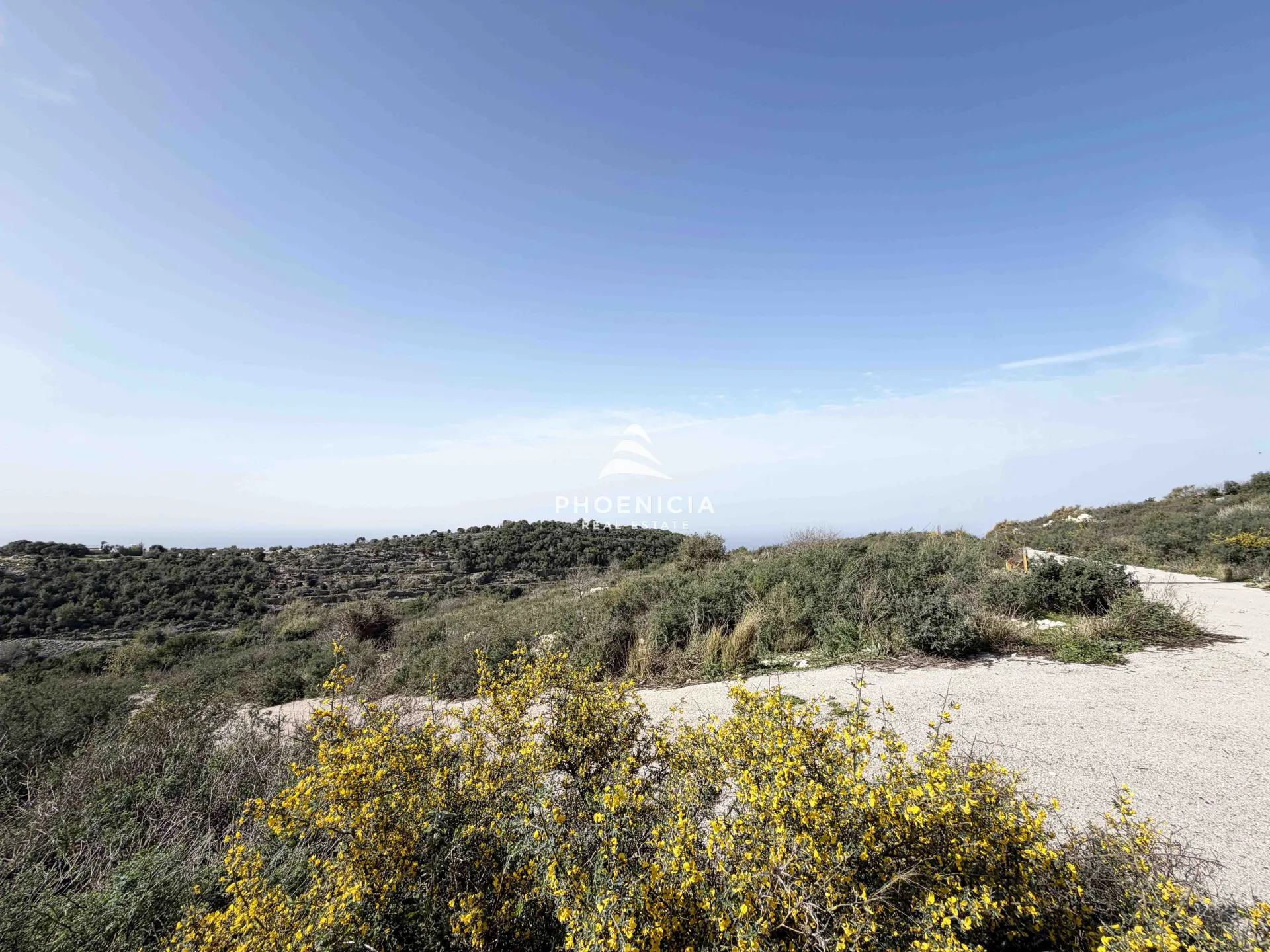 Land for Sale in Gharzouz — الصورة 2