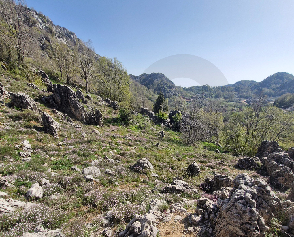 Mountain View/Ski Resorts/Jbeil - Ehmej — الصورة 3