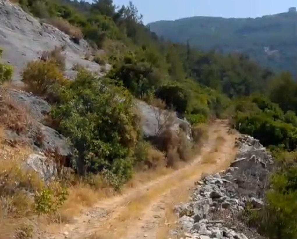 Prime Land/Stunning views/Zgharta - Karm Saadeh — الصورة 3