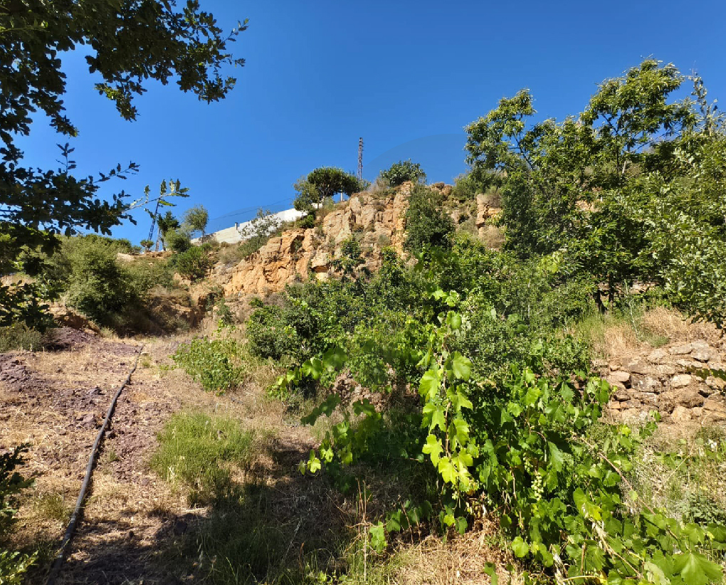 Stunning Holy Valley View/North/Zgharta-/Hawka — photo 3