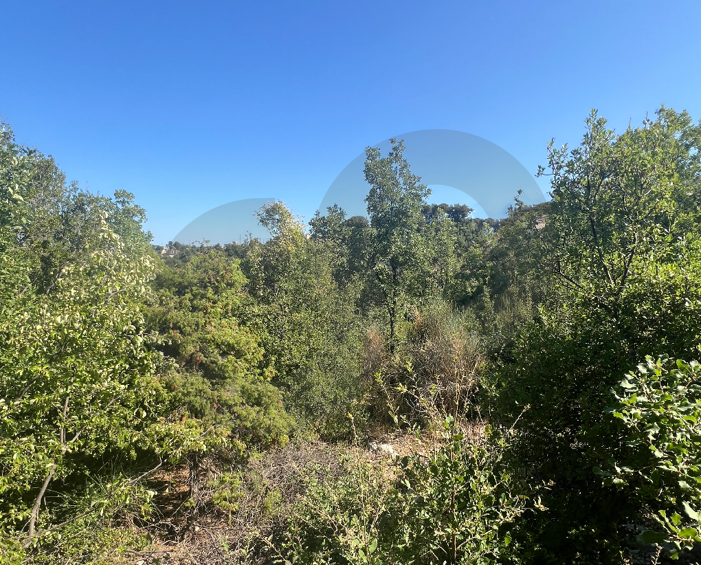 Open View/3 MINS FROM THE HIGHWAY/Jbeil/Mechmech — الصورة 3
