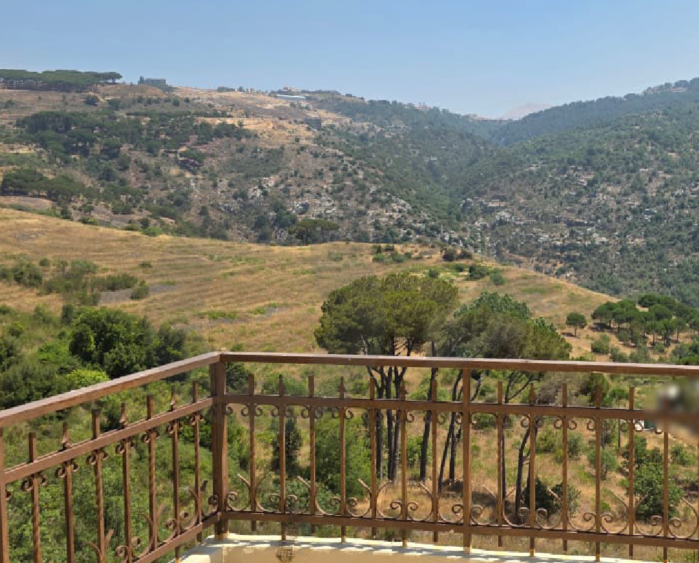 Luxury Villa/Great deal/amazing view/Becharre/Qnat — الصورة 3