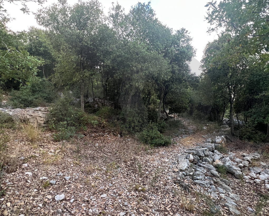 Land for Sale/Easy access/Flat and spacious/Mountain location/Jbeil/Aabeidat — الصورة 3