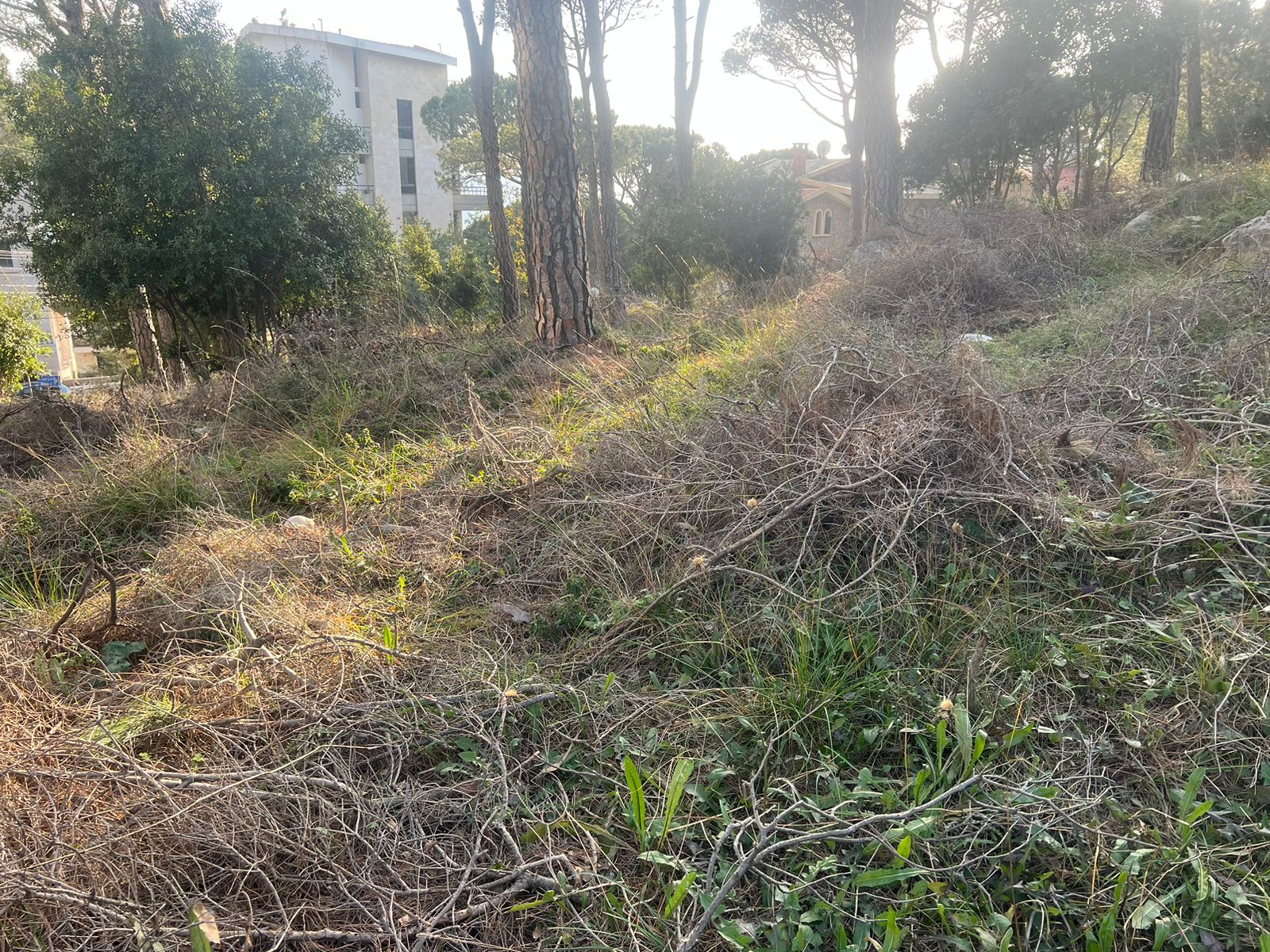 One of the unique lands in Broumana Oyoun! — الصورة 3