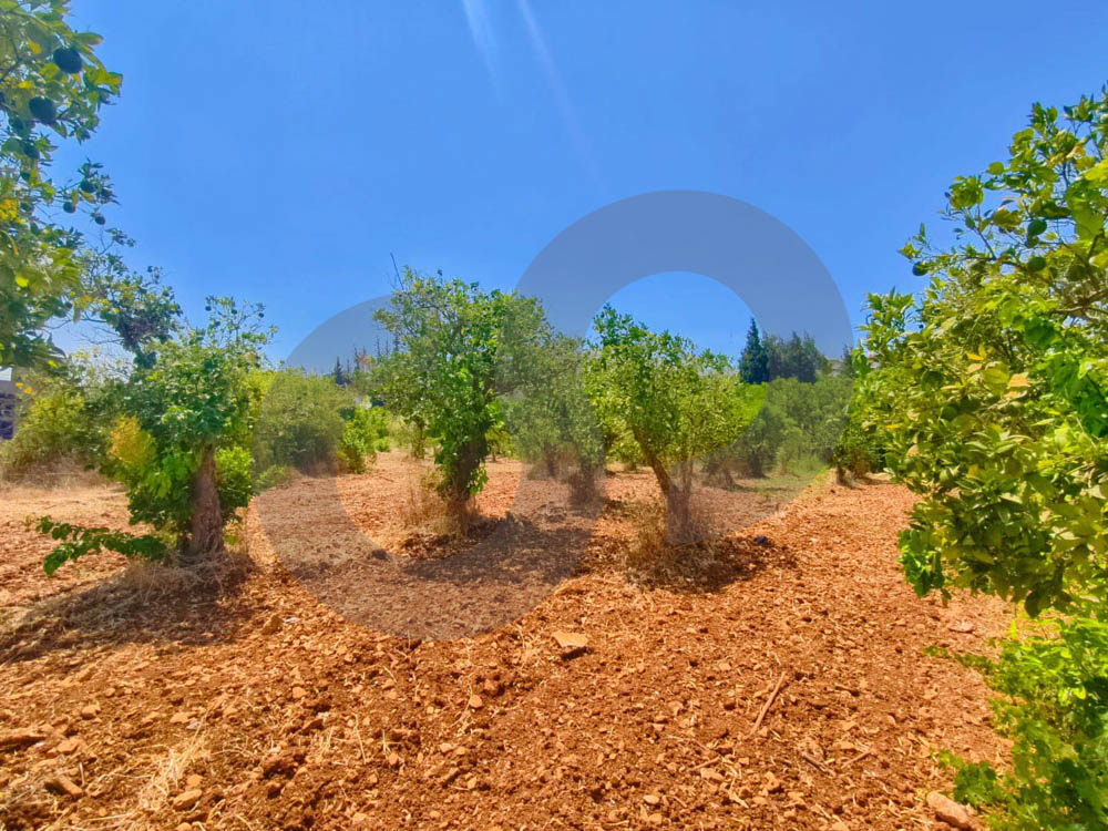 1,100 SQM Land in Zgharta | | 30/90 High Zoning | Flat | $187,000 — الصورة 2