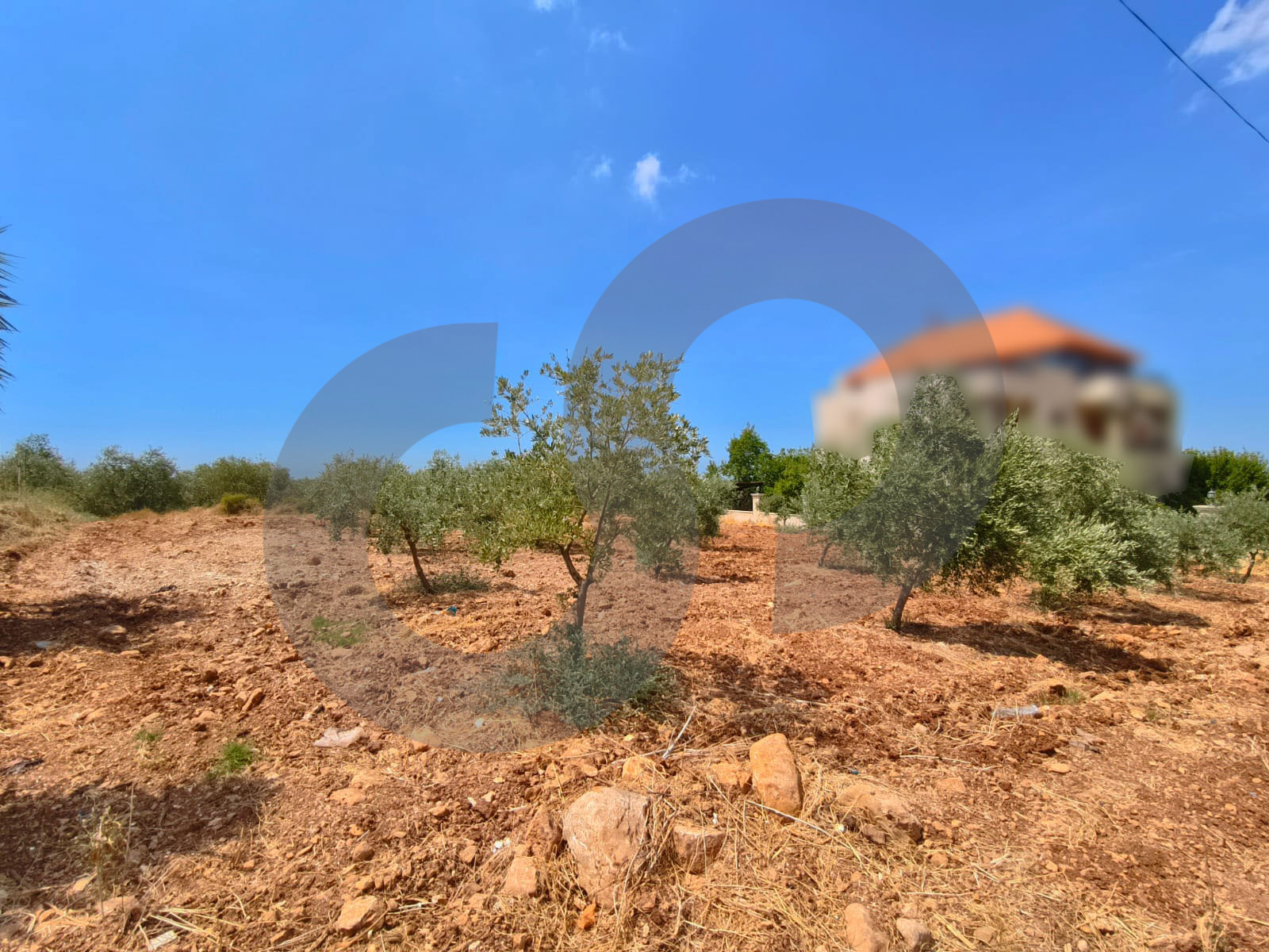 LAND/20/40 zoning/Bnacheh, Zgharta /Ideal for a private villa or investment — الصورة 2