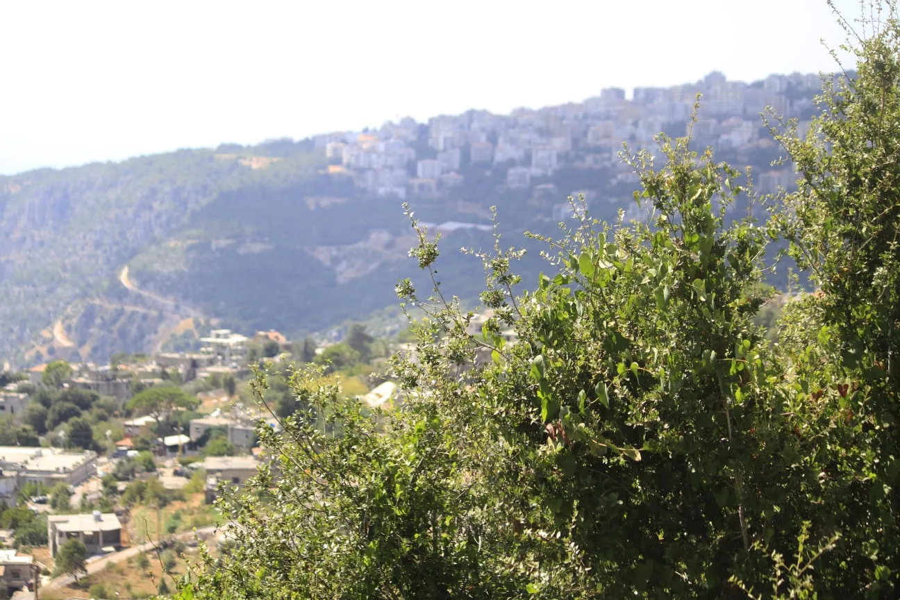 Land for Sale in Bikfaiya, Lebanon — الصورة 2