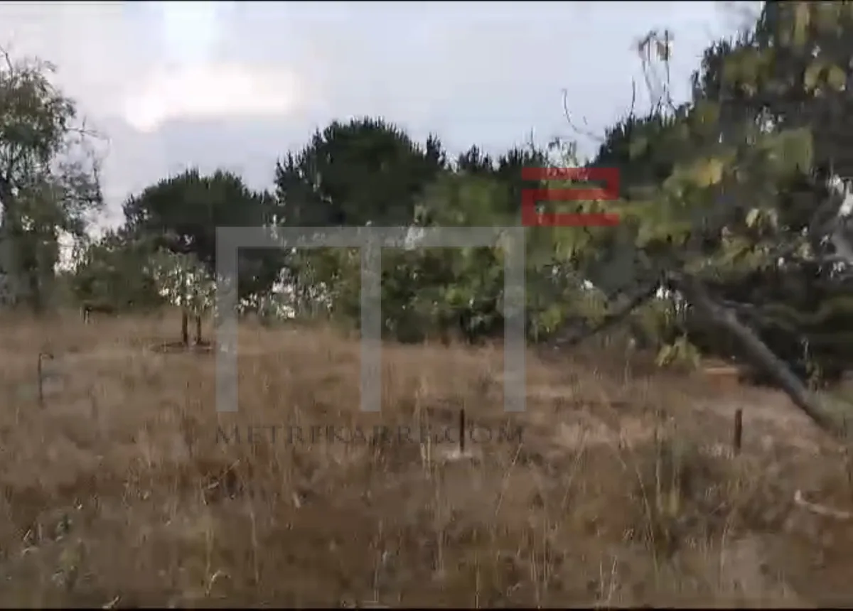 Land for Sale in Bhersaf