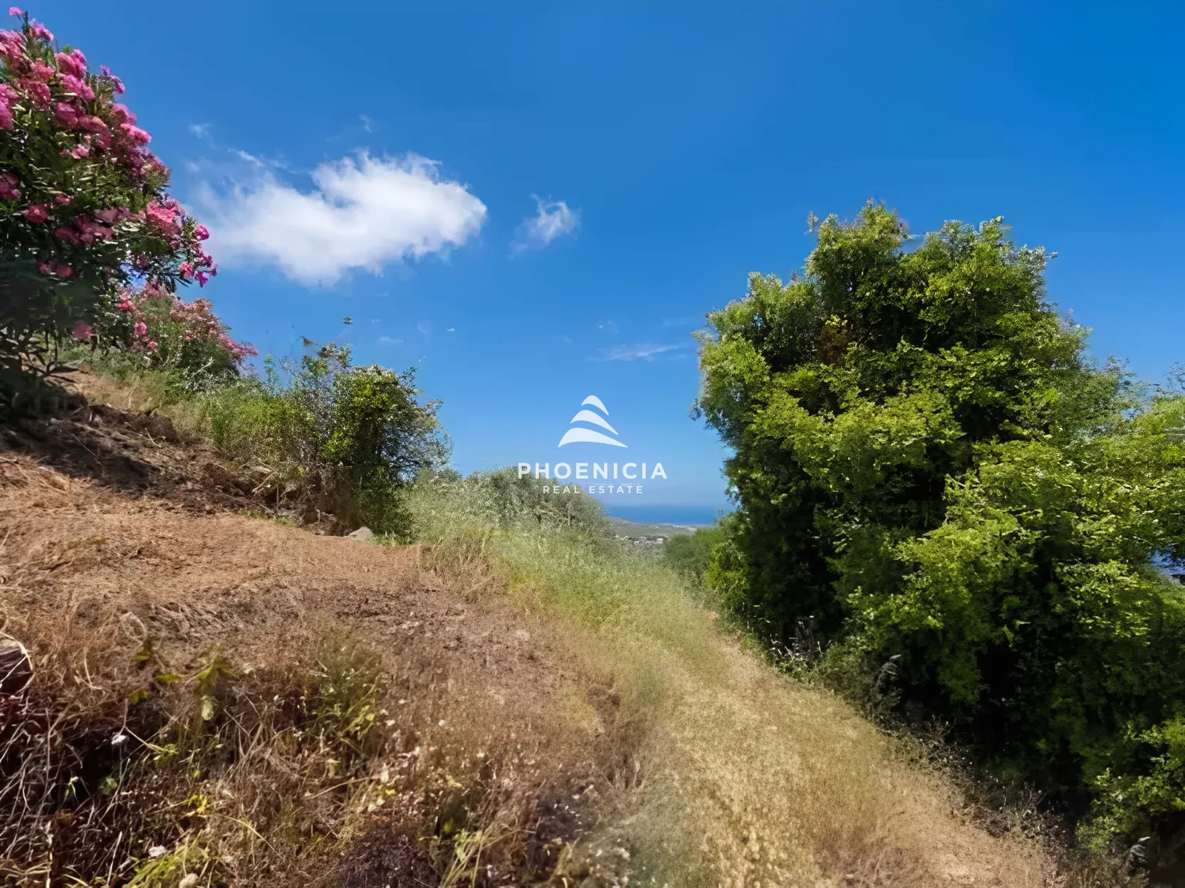 Residential Land for sale in Fghal, Lebanon — الصورة 2