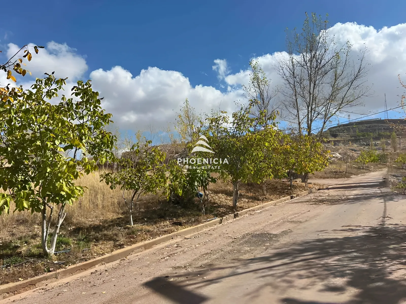 Land for Sale in Laqlouq — الصورة 6