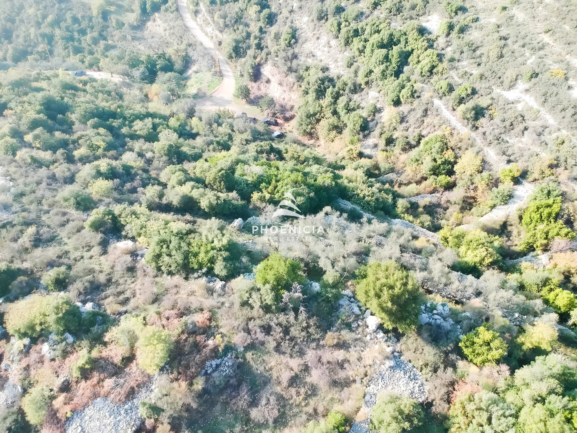 Land for Sale in Gharzouz — الصورة 8