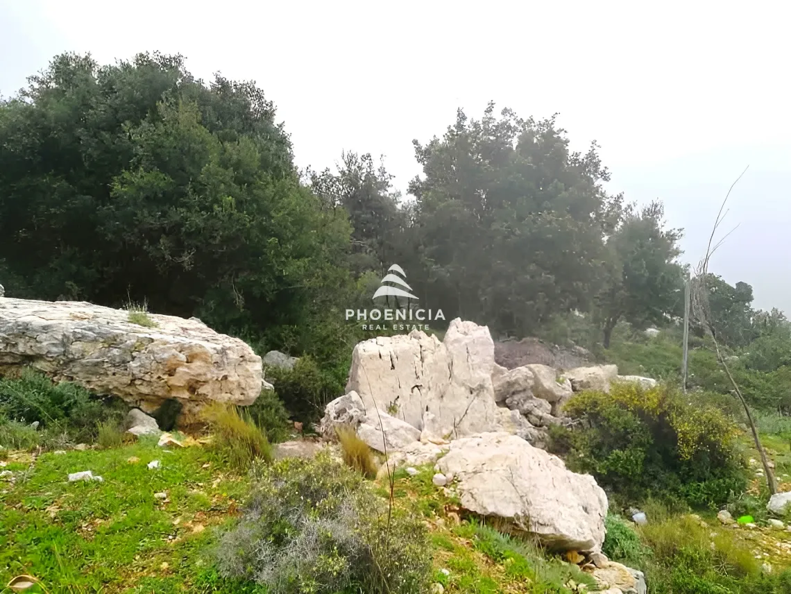 Land for Sale in Blat — الصورة 9